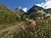 22 Pulsatilla alpina in avanzata fruttescenza con vista verso il Pizzo del Diavolo